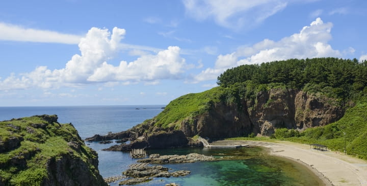 酒田市